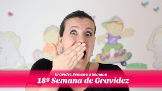 18ª Semana de gestação [upl. by Marigold155]