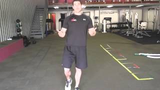 Righting Reflex Balance Exercises  For Improving Balance on Stable Surfaces  Day 135 WellFit 365 [upl. by Akinad]