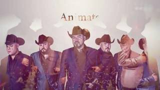 Solido  Anímate Official Lyric Video [upl. by Teteak45]