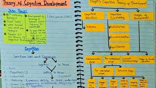 Piagets theory of Cognitive DevelopmentPsychology  in Malayalam [upl. by Wengert]