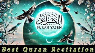 Beautiful quran recitation of Surah Yaseen  Full by Qari Omar Hisham Al Arabi  Hadi Noor Al Quranquot [upl. by Learsi390]