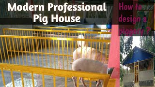 A modern professional pig house [upl. by Shantee]