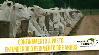 Confinamento a pasto  Entendendo o rendimento de ganho [upl. by Tabb]