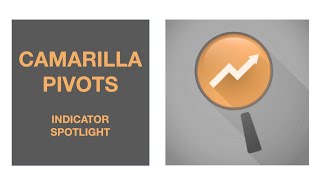 Camarilla Pivots Spotlight [upl. by Ob665]