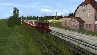 TS2010 750mm narrow gauge railroad 2 Px48 Faur L45H vel Lxd2 [upl. by Aleka]