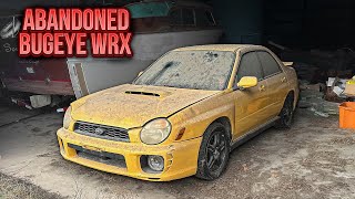 First Wash in 7 Years Subaru WRX Bugeye ABANDONED in Barn  Car Detailing Restoration [upl. by Inalaek849]