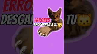 Consejo Desgarrar a tu Gato 🐱 Errores [upl. by Aicylla]