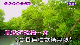 雨中徘徊葉璦菱女原Cm調伴奏音樂有live鼓 丙 [upl. by Ahkihs]