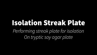 Isolation streak plate technique [upl. by Aninaig747]