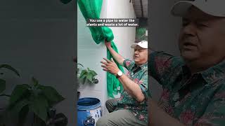 Correct Way of Watering House Plants  How to Water Plants [upl. by Jeanine]