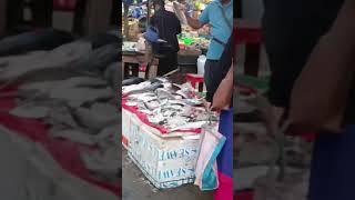 haflong local market Assam tracking g [upl. by Inama464]