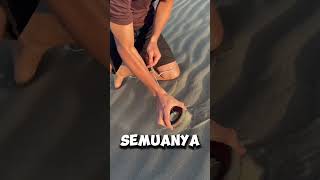 Bagaimana Memancing Magnet Di Padang Pasir crafterduck TT shortvideos [upl. by Rosamund239]