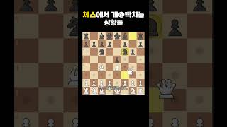 체스에서 짜증나는 순간들ㅋㅋㅋㅋ chess 체스 빡침 angry [upl. by Odetta960]