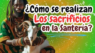 Cómo se realizan los sacrificios en la santería  Santeria cubana [upl. by Oirotciv]