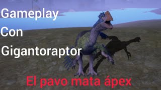 Gameplay con Gigantoraptor el pavo mata ápex thecursedisle [upl. by Birkle]