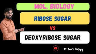 Ribose Sugar vs Deoxyribose SugarBiology Dr Sams Biologyl [upl. by Had]