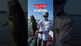 Une belle palette de la Rivière des Mîlles îles🎣 bassfishingismylife bassfishing anglerfish [upl. by Marmawke]