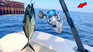 Dropped a Giant Bait Around a Shipwreck and Caught THIS Catch Clean amp Cook [upl. by Lisa]