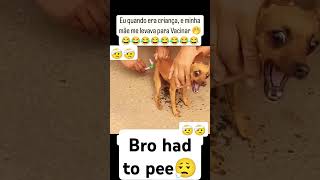 Injections hit different funny bonepain funny pets memes vetinjection [upl. by Adnyl]