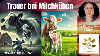 Tierärztin erzählt Ein Kalb kommt zur Welt 🐄 [upl. by Bar361]