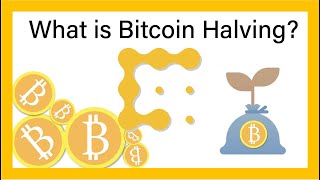 What is the Bitcoin Halving  CoinDesk Explains [upl. by Oilasor]