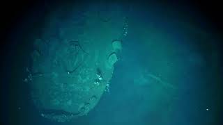 First Visual Survey of IJN Akagi 赤城  Historic Battle of Midway Shipwreck  Nautilus Live [upl. by Pool]