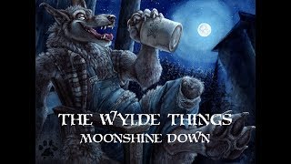 Wylde Things  Moonshine Down [upl. by Lucier757]