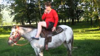 How To Adjust stirrups girth From in Saddle [upl. by Hairahs]