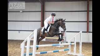 My NONI horse  80cm showjumping [upl. by Vachill]