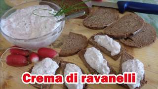 CREMA DI RAVANELLI DA SERVIRE COME APERITIVO  Ricetta facilissima [upl. by Nyleaj]