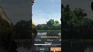 Fishing Planet  Catching Butterfly Peacock Bass [upl. by Santiago219]