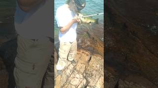 The Fish Kisser Visits Killarney Ontario fishkisser kissingfish bassfishing funnyvideo [upl. by Noteek]