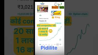 Pidilite stock analysis share market 1 lakh to 16 core [upl. by Akcinahs134]