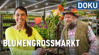 Blumen vom Großmarkt – regional hats schwer  doku  erlebnis hessen [upl. by Depoliti]