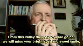 RED RIVER VALLEY  HARMONICA Key of F  LYRICS [upl. by Dnaletak989]