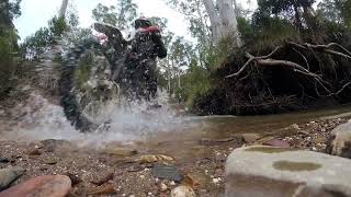 Crossing the Aberfeldy River Eaton Track with Lachie Jono and MrWiretap Billy Smith [upl. by Aihsile68]