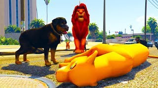 LION VS ROTTWEILERS [upl. by Sada166]