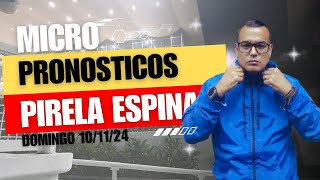 HIPISMO MICRO PRONÓSTICOS👻Domingo 10 Noviembre 2024  La Rinconada Con Leonardo Pirela Espina 👻 [upl. by Ramirolg]