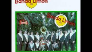 BANDA EL LIMONCHEQUE AL PORTADOR [upl. by Mohr170]