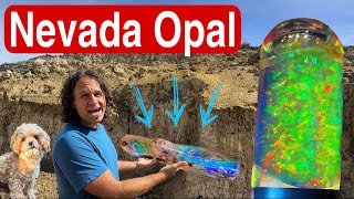 Explore the Royal Peacock Opal Mine  OPEN TO PUBLIC [upl. by Nancey292]