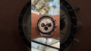 TImex Q Chronograph Panda white dial  40mm quartz timex budgetwatch watch [upl. by Aneelehs179]