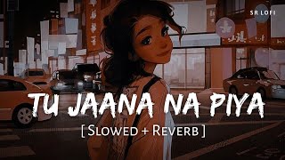 Tu Jaana Na Piya Slowed  Reverb  King  New Life  SR Lofi [upl. by Junius301]