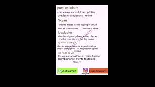 biologie vegetale les thallophytes [upl. by Dahlia]