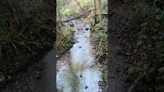 ASMR babbling brook [upl. by Burdett]