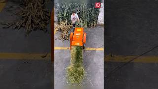 Corn stalk shredder machine 🌽 silage cutter machine agriculture shorts [upl. by Oberon418]