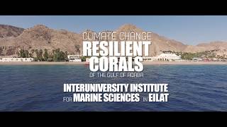 Climate Change Resilient Corals of the Gulf of Aqaba  Eilat  Israel [upl. by Maker]