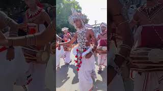 Kandyan Dancers 🤸🤸‍♀️Sri Lanka [upl. by Crescantia]