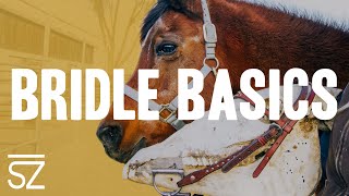 Bridle Basics How to Place amp Remove Bridles on a Horse [upl. by Sallad]