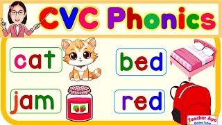 CVC Phonics  Words and Sentences  English Reading Practice for kids  Compilation [upl. by Nhguav390]