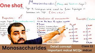 Monosaccharide  One shot Classification of carbohydrates  class 11  in Urdu  Hindi medium [upl. by Ettenot]